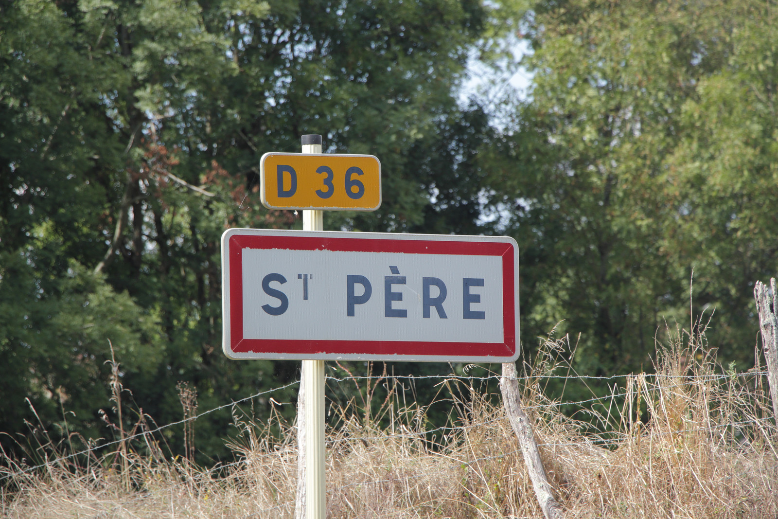 Borgogna 54